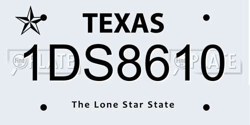 1DS8610 Texas License Plate