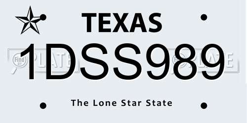1DSS989 Texas License Plate