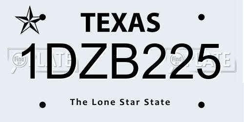 1DZB225 Texas License Plate