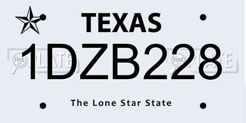 1DZB228 Texas License Plate