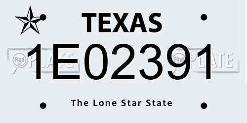 1E02391 Texas License Plate