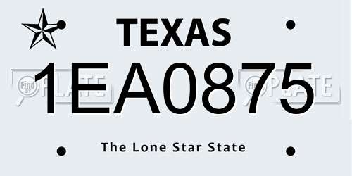 1EA0875 Texas License Plate