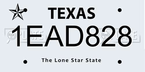 1EAD828 Texas License Plate
