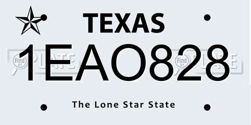 1EAO828 Texas License Plate
