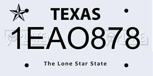 1EAO878 Texas License Plate
