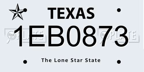 1EB0873 Texas License Plate