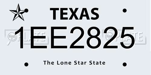 1EE2825 Texas License Plate