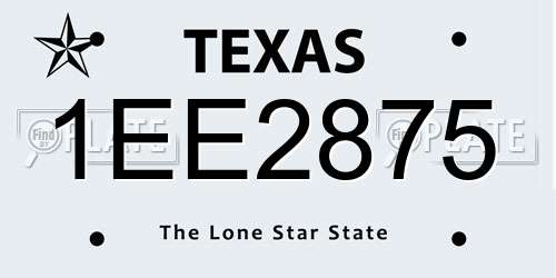 1EE2875 Texas License Plate
