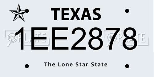 1EE2878 Texas License Plate