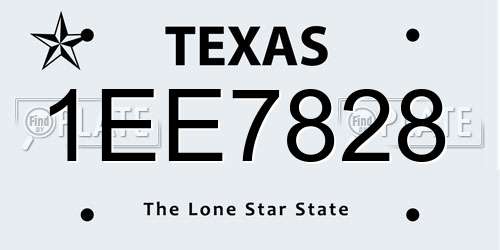 1EE7828 Texas License Plate