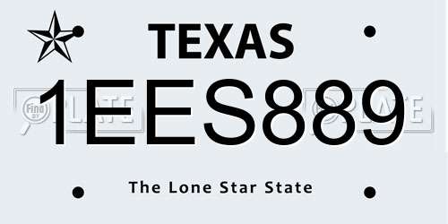 1EES889 Texas License Plate