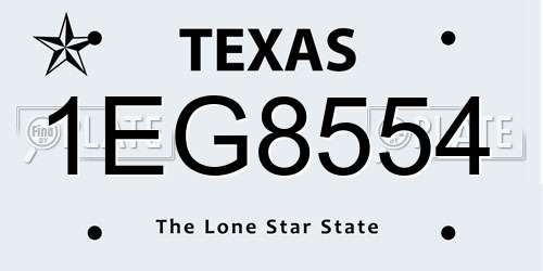 1EG8554 Texas License Plate