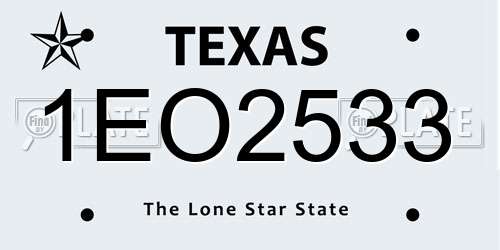 1EO2533 Texas License Plate