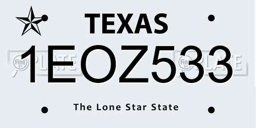 1EOZ533 Texas License Plate