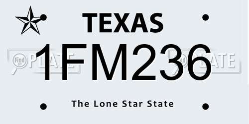 1FM236 Texas License Plate