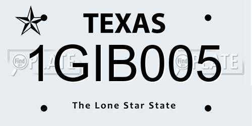 1GIB005 Texas License Plate