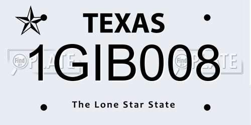 1GIB008 Texas License Plate