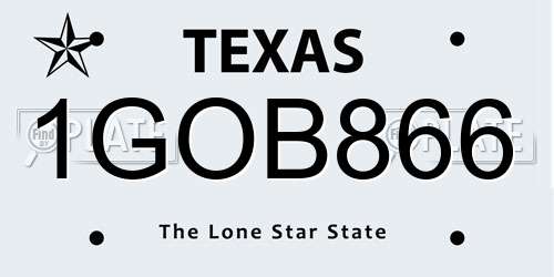 1GOB866 Texas License Plate