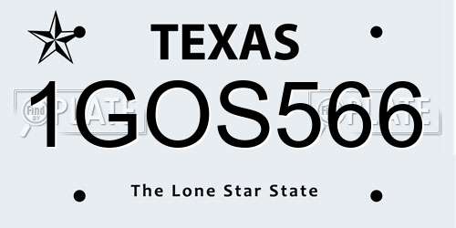 1GOS566 Texas License Plate