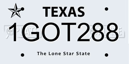 1GOT288 Texas License Plate