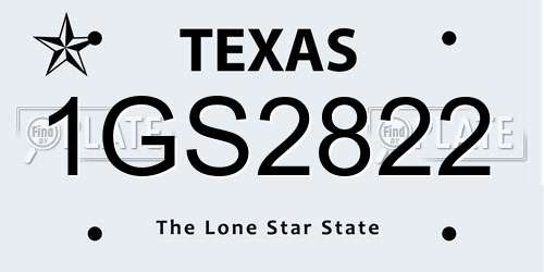1GS2822 Texas License Plate