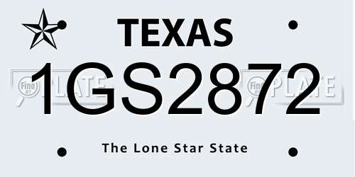 1GS2872 Texas License Plate