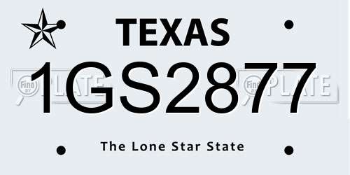 1GS2877 Texas License Plate
