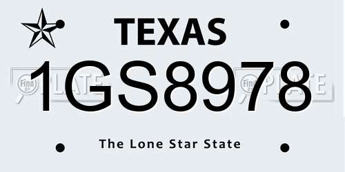 1GS8978 Texas License Plate