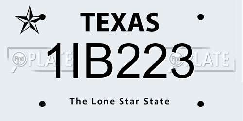 1IB223 Texas License Plate