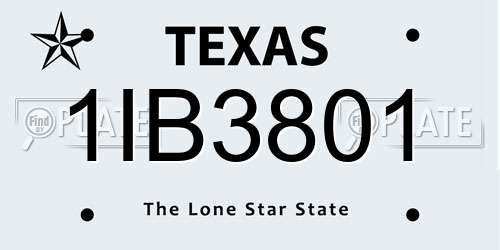 1IB3801 Texas License Plate