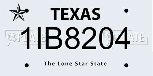 1IB8204 Texas License Plate