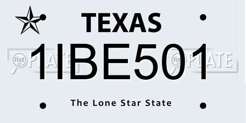 1IBE501 Texas License Plate