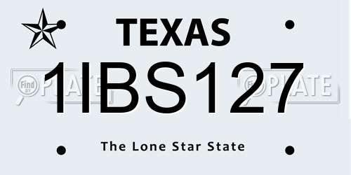 1IBS127 Texas License Plate