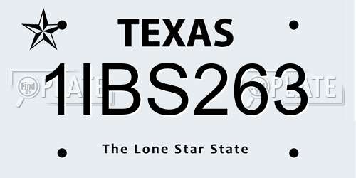 1IBS263 Texas License Plate