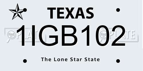 1IGB102 Texas License Plate