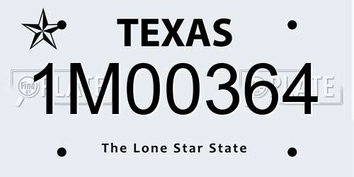 1M00364 Texas License Plate