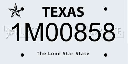 1M00858 Texas License Plate