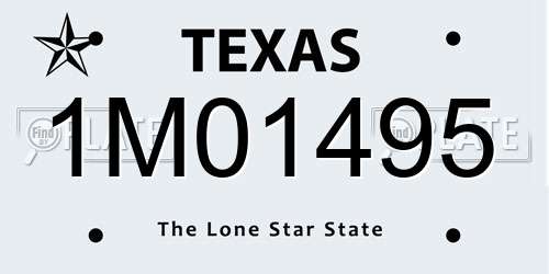 1M01495 Texas License Plate