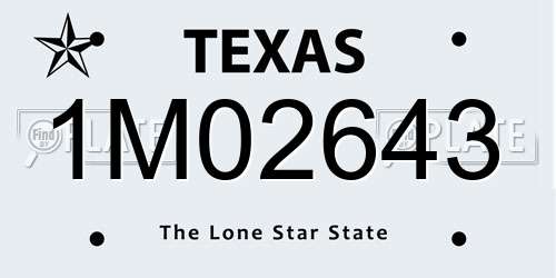 1M02643 Texas License Plate