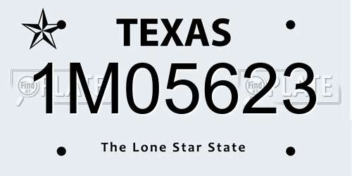 1M05623 Texas License Plate