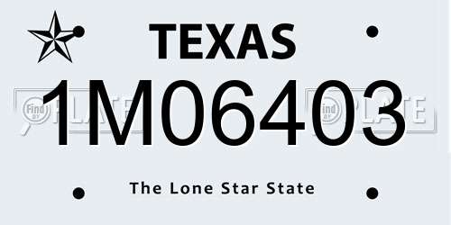 1M06403 Texas License Plate