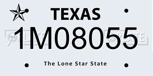 1M08055 Texas License Plate
