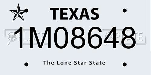 1M08648 Texas License Plate