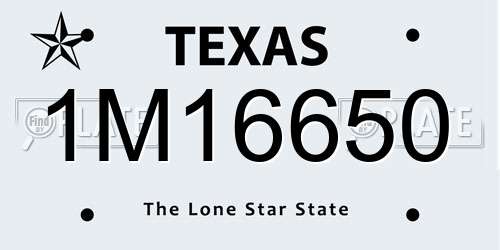 1M16650 Texas License Plate
