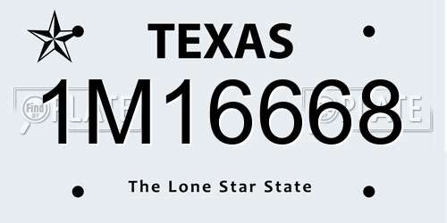 1M16668 Texas License Plate