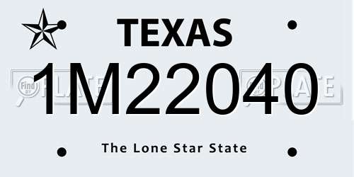 1M22040 Texas License Plate