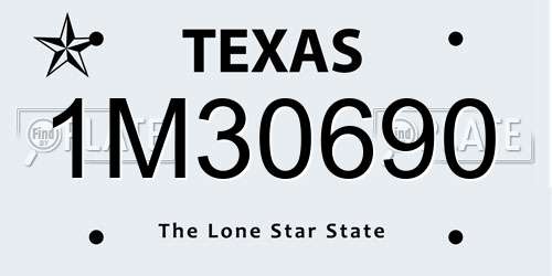 1M30690 Texas License Plate