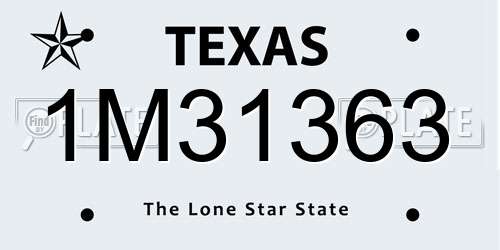 1M31363 Texas License Plate