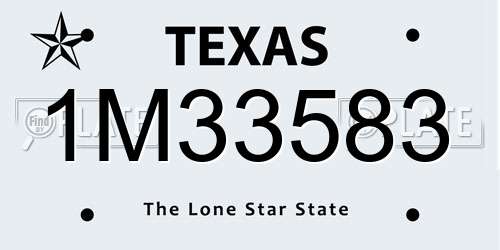 1M33583 Texas License Plate