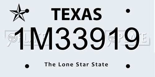 1M33919 Texas License Plate